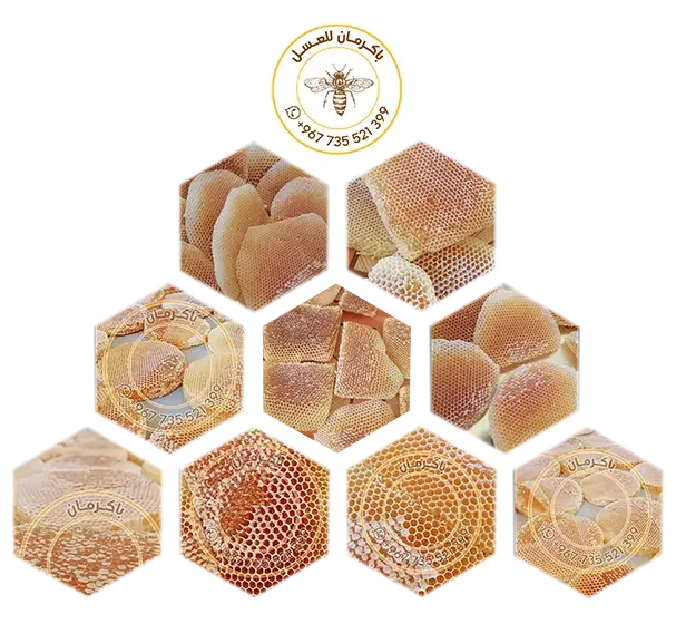 Bakarman For Honey in Hadhramout